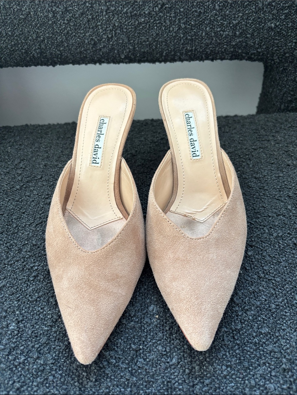 Charles David Beige Suede Pointed-Toe mule heel